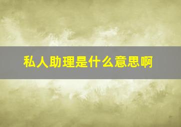 私人助理是什么意思啊