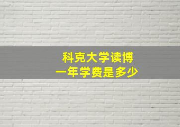 科克大学读博一年学费是多少