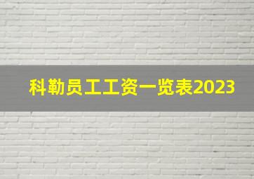 科勒员工工资一览表2023