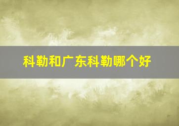 科勒和广东科勒哪个好