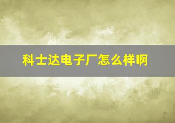 科士达电子厂怎么样啊