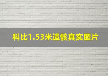 科比1.53米遗骸真实图片