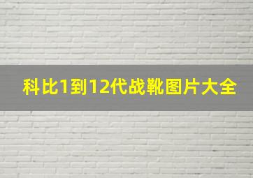 科比1到12代战靴图片大全