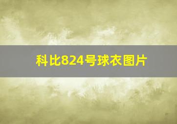 科比824号球衣图片