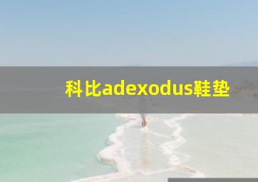 科比adexodus鞋垫