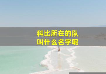 科比所在的队叫什么名字呢