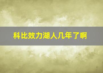 科比效力湖人几年了啊