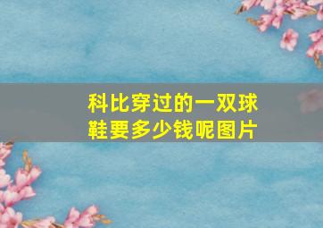 科比穿过的一双球鞋要多少钱呢图片