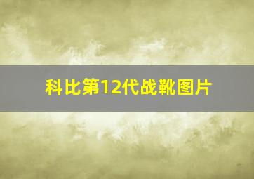 科比第12代战靴图片