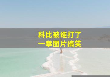 科比被谁打了一拳图片搞笑