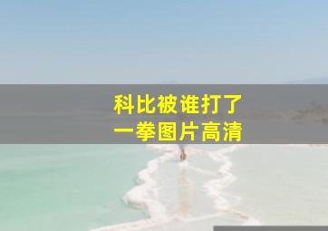 科比被谁打了一拳图片高清