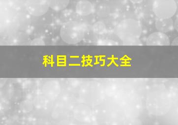 科目二技巧大全