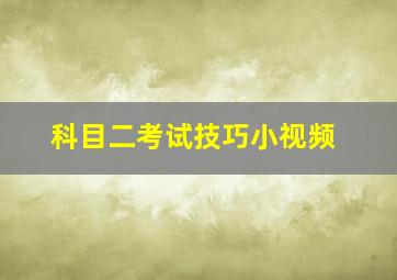 科目二考试技巧小视频