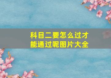 科目二要怎么过才能通过呢图片大全