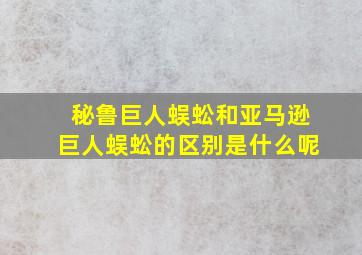 秘鲁巨人蜈蚣和亚马逊巨人蜈蚣的区别是什么呢