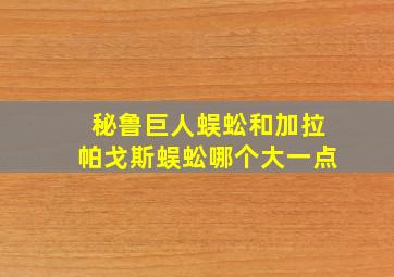 秘鲁巨人蜈蚣和加拉帕戈斯蜈蚣哪个大一点