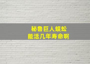 秘鲁巨人蜈蚣能活几年寿命啊