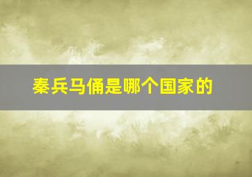 秦兵马俑是哪个国家的