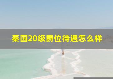 秦国20级爵位待遇怎么样