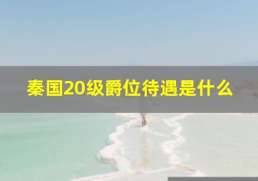 秦国20级爵位待遇是什么