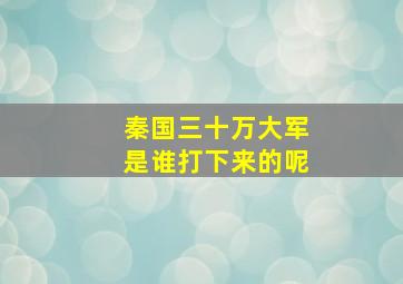 秦国三十万大军是谁打下来的呢