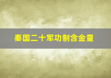 秦国二十军功制含金量