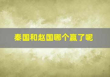 秦国和赵国哪个赢了呢