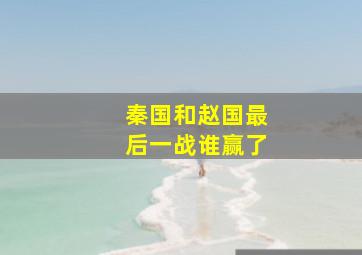 秦国和赵国最后一战谁赢了