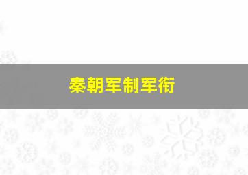 秦朝军制军衔