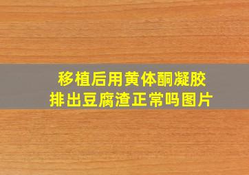 移植后用黄体酮凝胶排出豆腐渣正常吗图片