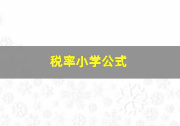 税率小学公式