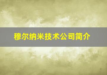 穆尔纳米技术公司简介