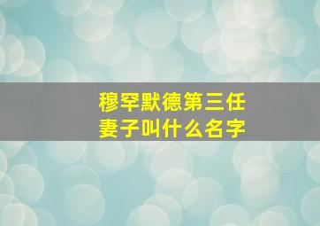 穆罕默德第三任妻子叫什么名字