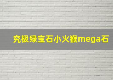 究极绿宝石小火猴mega石