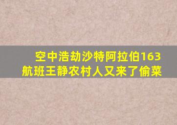 空中浩劫沙特阿拉伯163航班王静农村人又来了偷菜