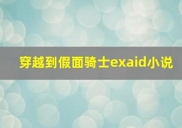 穿越到假面骑士exaid小说