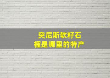 突尼斯软籽石榴是哪里的特产