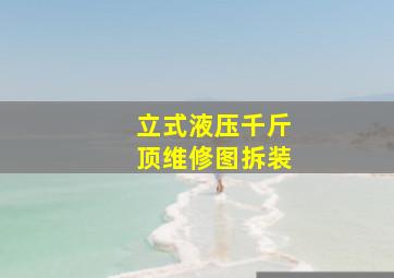 立式液压千斤顶维修图拆装