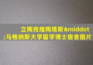 立陶宛维陶塔斯·马格纳斯大学留学博士宿舍图片