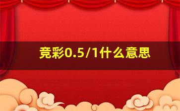 竞彩0.5/1什么意思