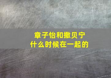 章子怡和撒贝宁什么时候在一起的