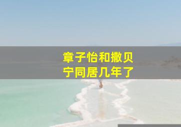 章子怡和撒贝宁同居几年了