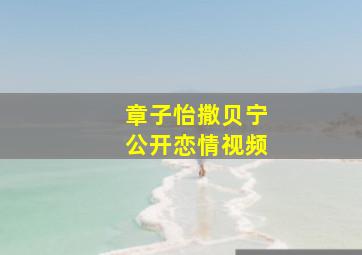 章子怡撒贝宁公开恋情视频