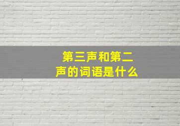 第三声和第二声的词语是什么