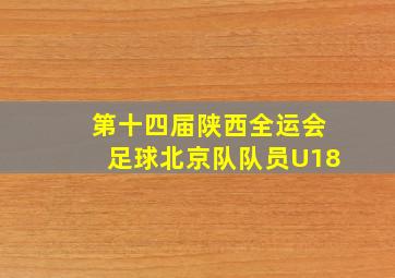 第十四届陕西全运会足球北京队队员U18