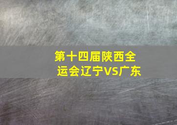 第十四届陕西全运会辽宁VS广东