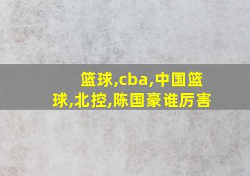 篮球,cba,中国篮球,北控,陈国豪谁厉害