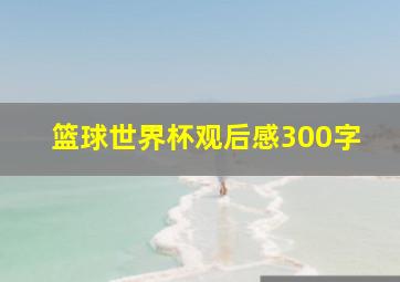 篮球世界杯观后感300字