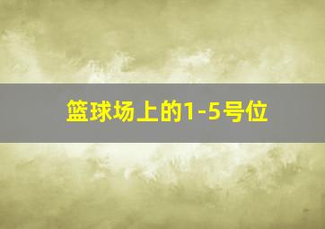 篮球场上的1-5号位