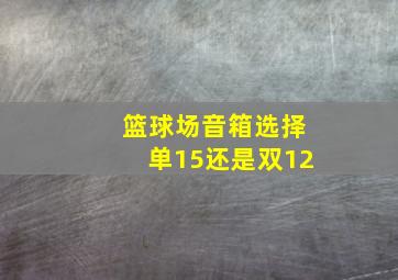 篮球场音箱选择单15还是双12